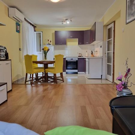 Apartment Sanja พาซิน ภายนอก รูปภาพ