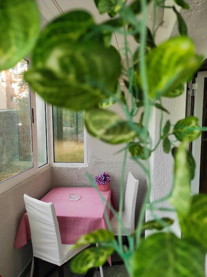 Apartment Sanja พาซิน ภายนอก รูปภาพ