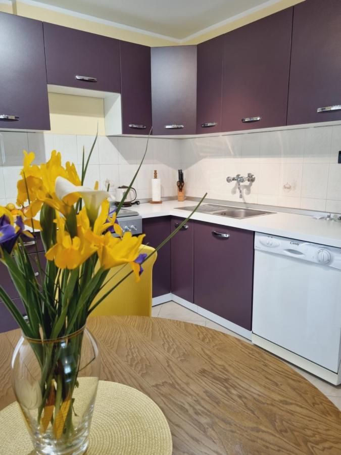 Apartment Sanja พาซิน ภายนอก รูปภาพ